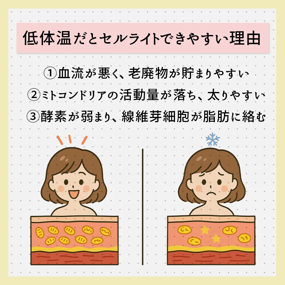 体温が低い人、冷え性の人がセルライトができやすい理由